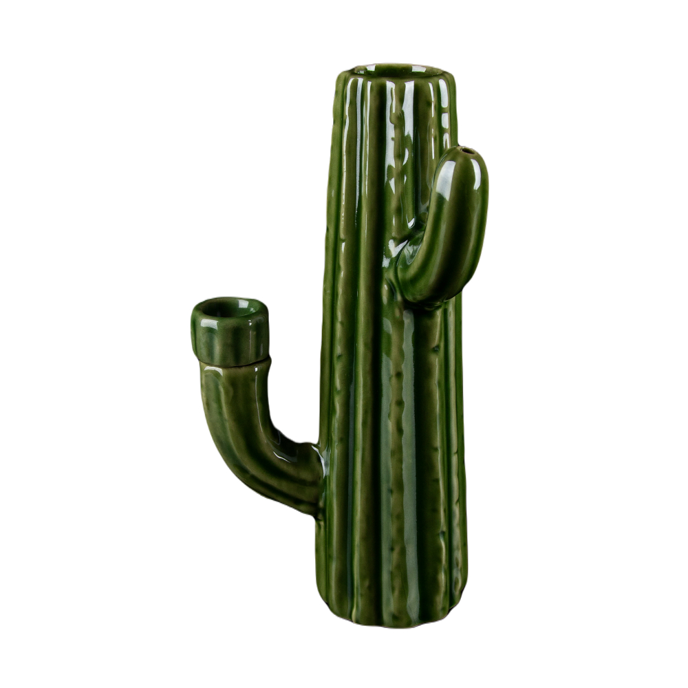 Cactus Necklace Holder