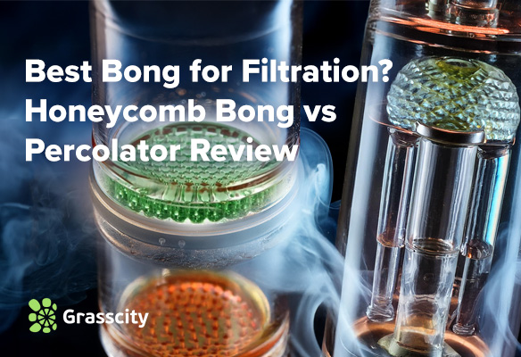 Honeycomb Bong vs Percolator Review