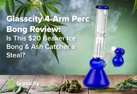 Glasscity 4-Arm Perc Bong 