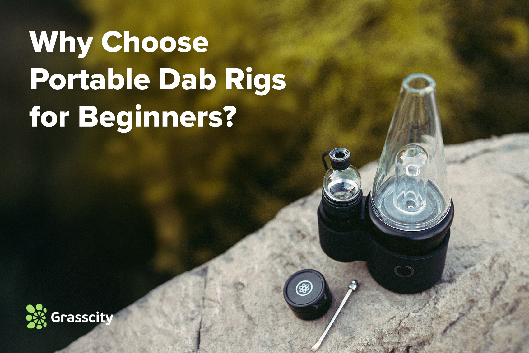 Why Choose Portable Dab Rigs for Beginners?